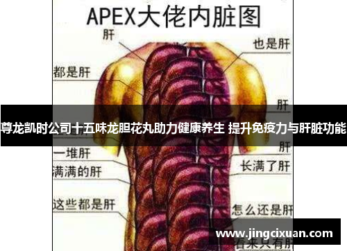 尊龙凯时公司十五味龙胆花丸助力健康养生 提升免疫力与肝脏功能